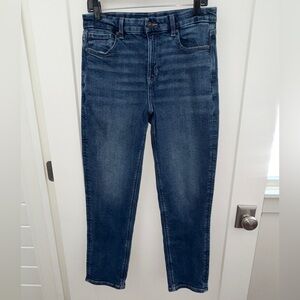NWOT American Eagle curvy Mom jean sz 10 Reg